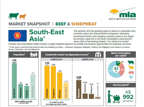 Southeast Asia Market Snapshot 2020