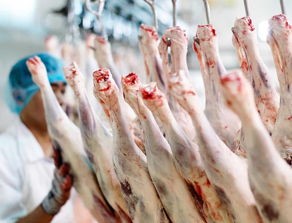 There’s more to Halal than just the slaughter process